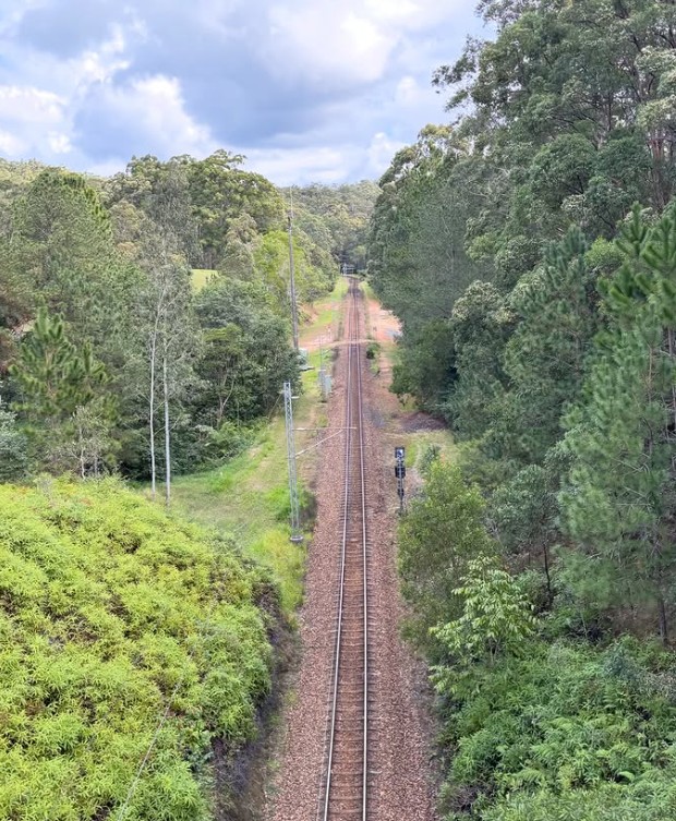 Photo of a trainline splitting through the bushland, taken from above. 